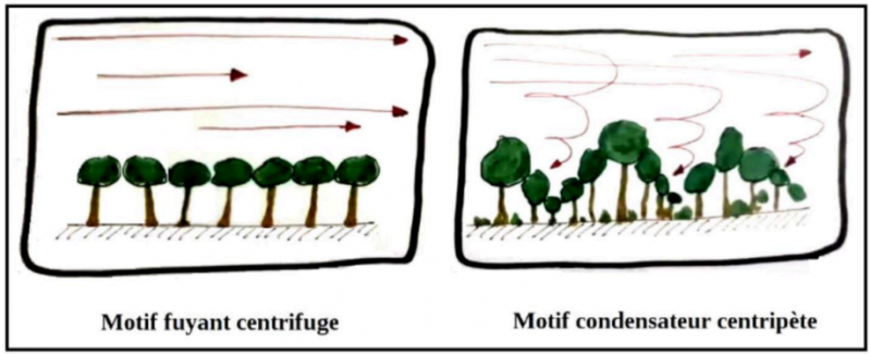 article hydrologie régénérative 4.png