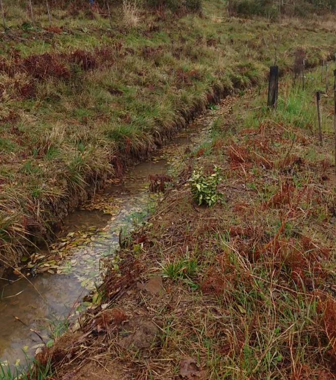 article hydrologie régénérative 5.png