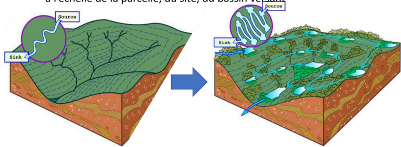 article hydrologie régénérative 2.png